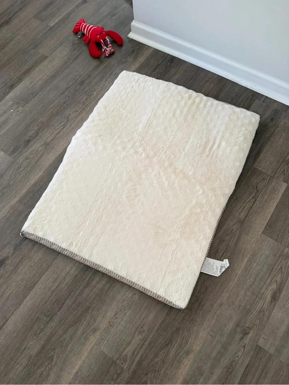 XL Dog Bed with removable cover- Sealed package 35x27